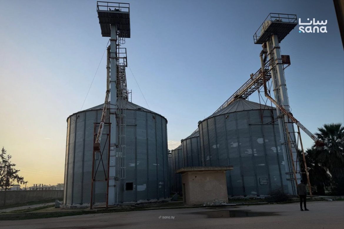 المؤسسة السورية للحبوب تستعد لاستلام محصول القمح لموسم 2026 وتفقد الصوامع