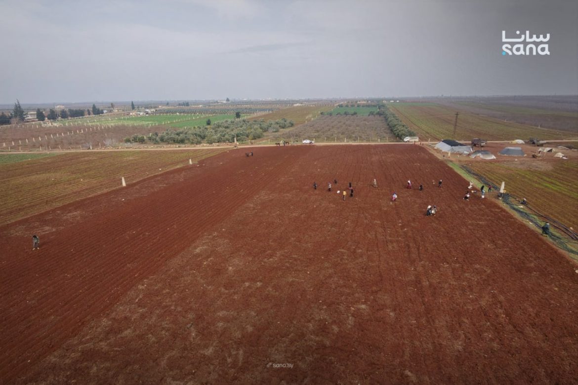 الموسم الزراعي بسوريا: أمطار غزيرة بتبشر بمحاصيل وفيرة وبتعزز خطة الوزارة