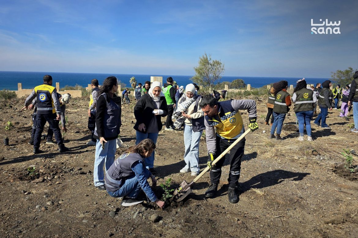 حملة 'بأيدينا نحييها' بتزرع أكتر من 14 ألف شتلة باللاذقية