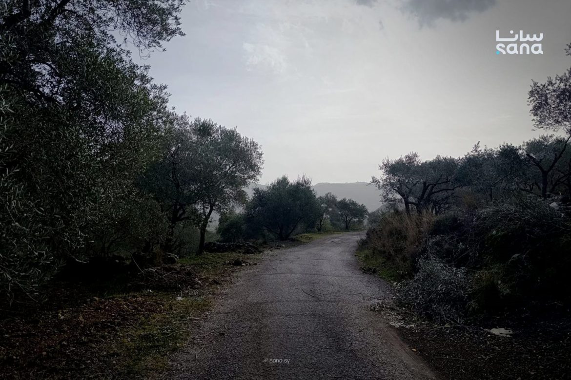 الجو بسوريا رح يقلب من بكرة: منخفض مطر ورياح قوية جايتنا