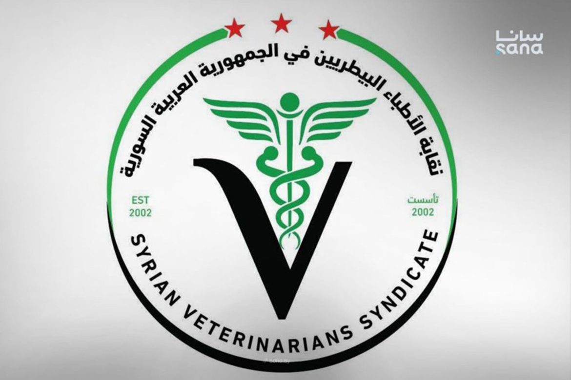 نقيب البيطريين بسوريا بيأكد: دواجن البلد ما فيها أمراض خطيرة