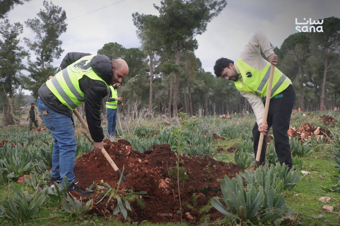 حملة تشجير كبيرة بـ كفرفو طرطوس لزراعة 8000 غرسة