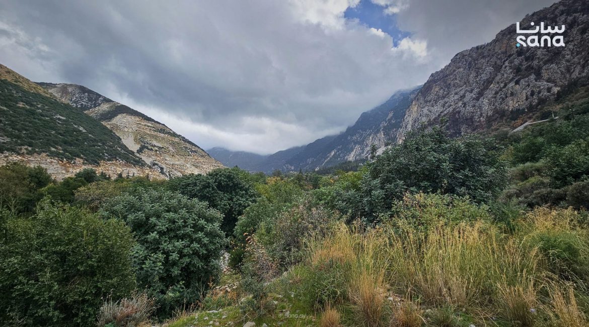 الحرارة رح تنزل ومنخفض جوي بكرة الأربعاء