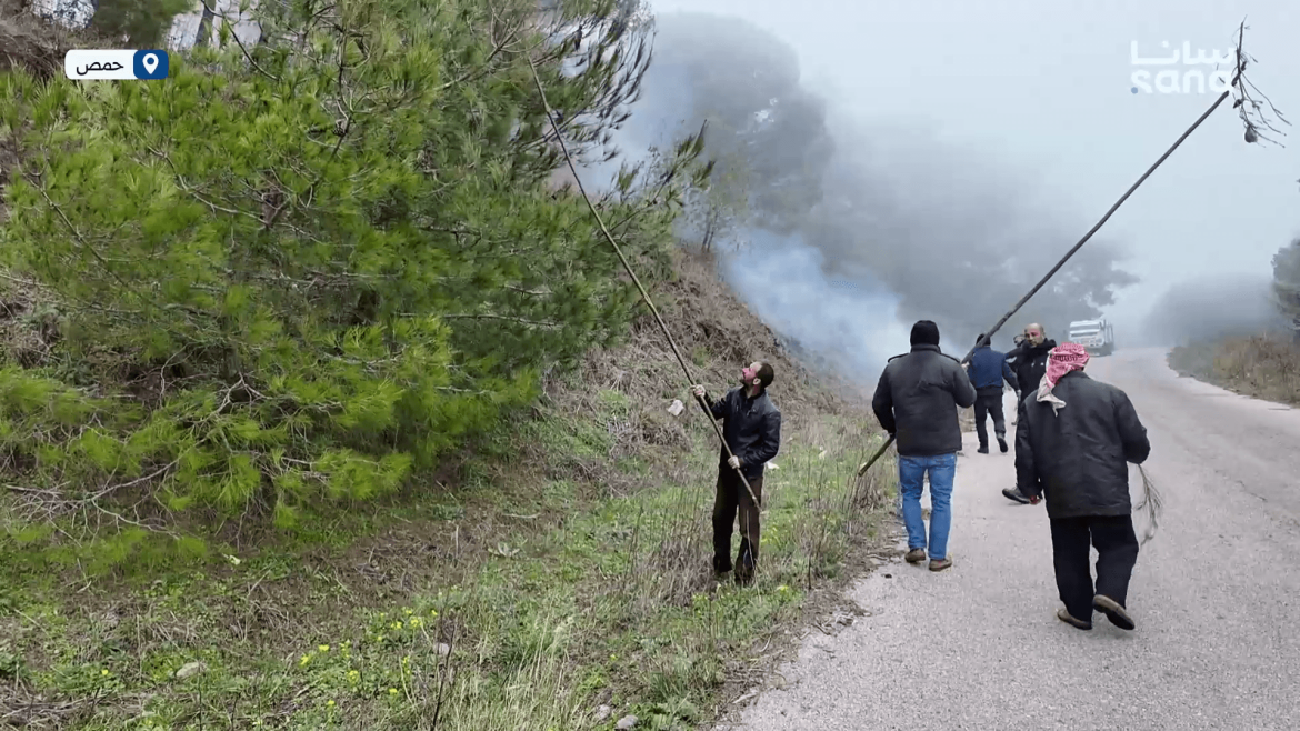 حملة مكثفة بريف حمص لحماية غابات ضهر القصير من حشرة الصنوبر