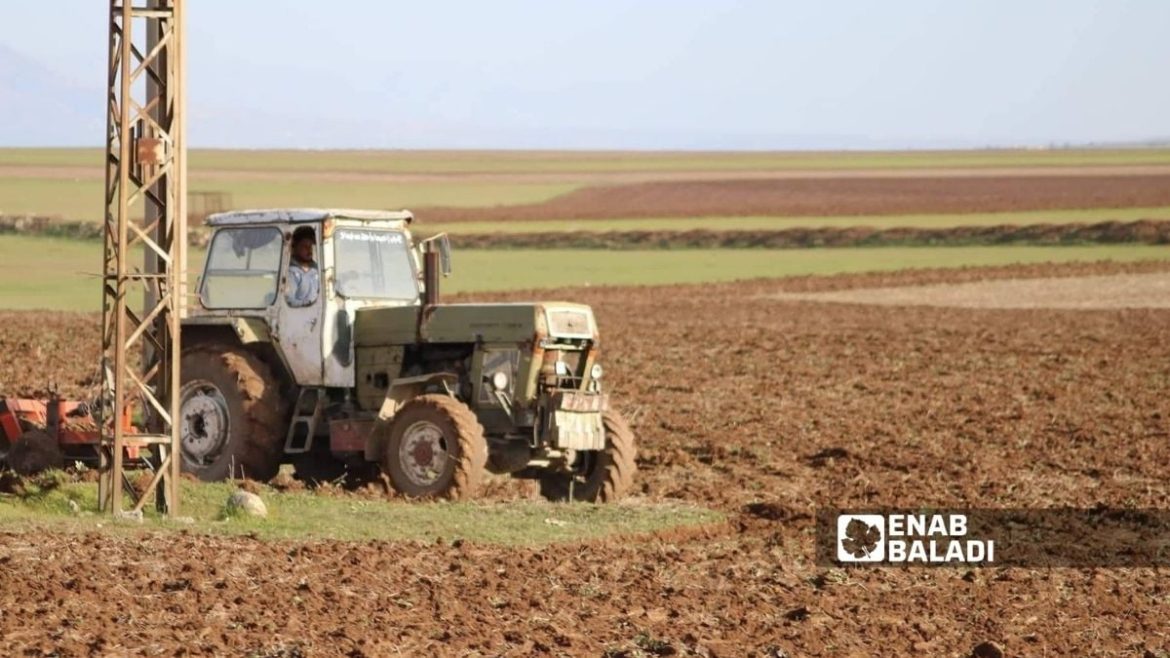 مزارعين الحسكة عم يناشدوا: المازوت لازم يوصل فوراً وإلا المحصول بيروح