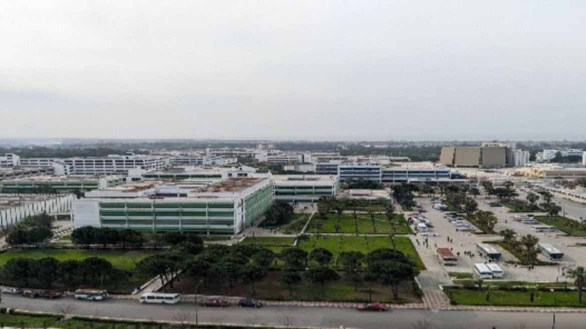 جامعة اللاذقية بتتصدر الجامعات السورية محليًا بتصنيف ساينتفيك إندكس الجديد