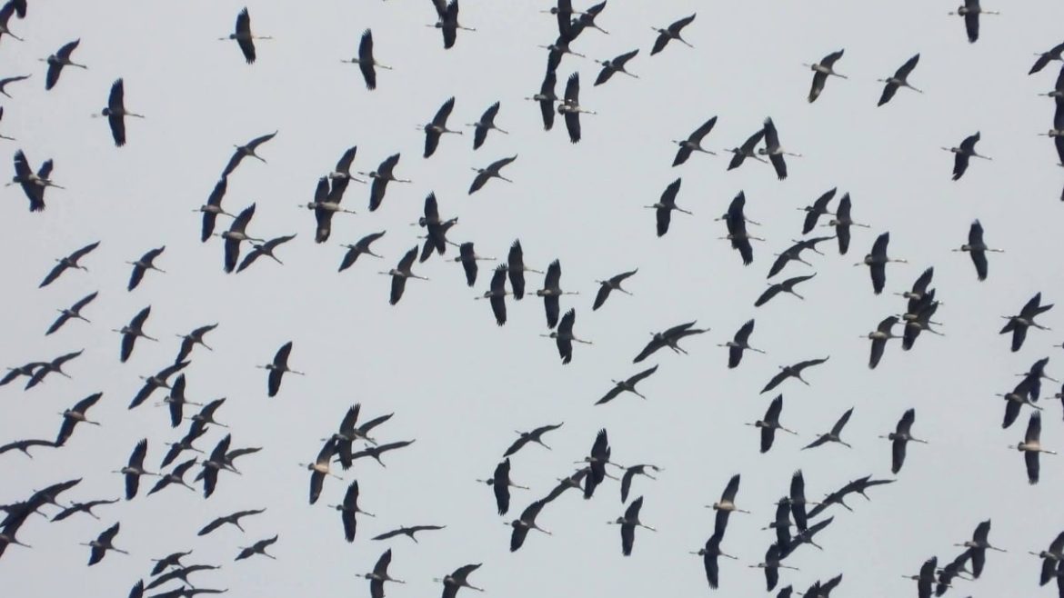 الطوارئ بسوريا بتحذّر من رياح قوية وأمطار غزيرة جايي عالبلد