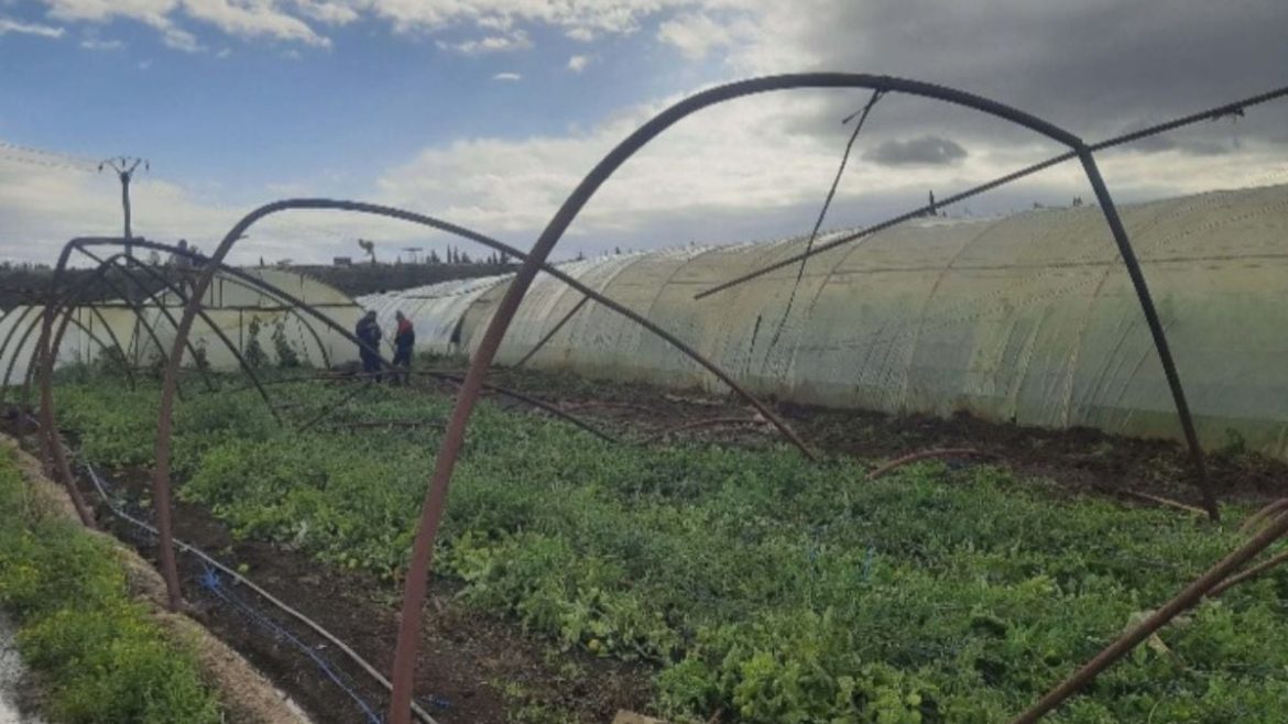 عاصفة هوا قوية بتضرب سهل عكار بطرطوس وبتسبب أضرار للمزارعين