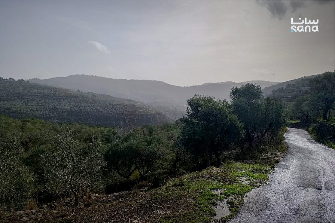 كميات مطر كبيرة بمحافظات سوريا، مشتى الحلو بطرطوس سجلت 19 ملم