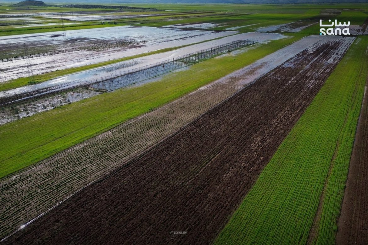 سهل الروج بإدلب الغربي: جنة خضرا بالريف السوري
