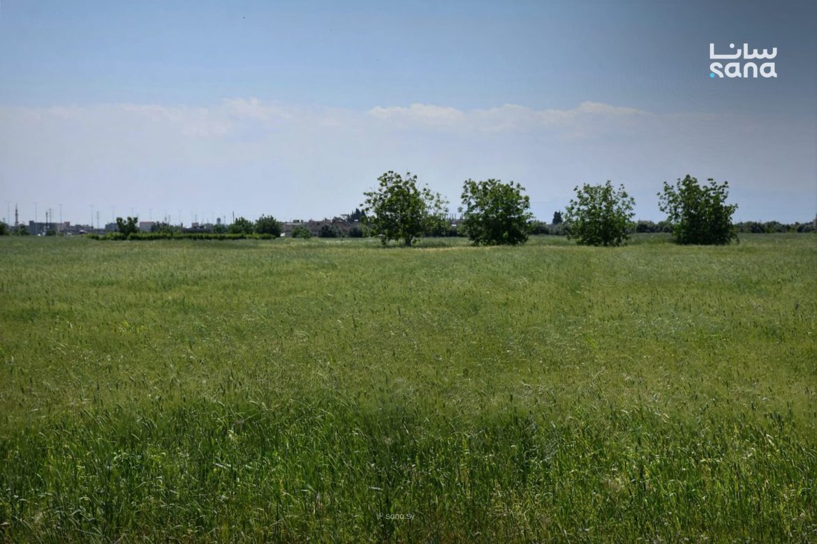 سوريا: الزراعة بتعتبر التنمية الريفية أساس خطتها الجديدة