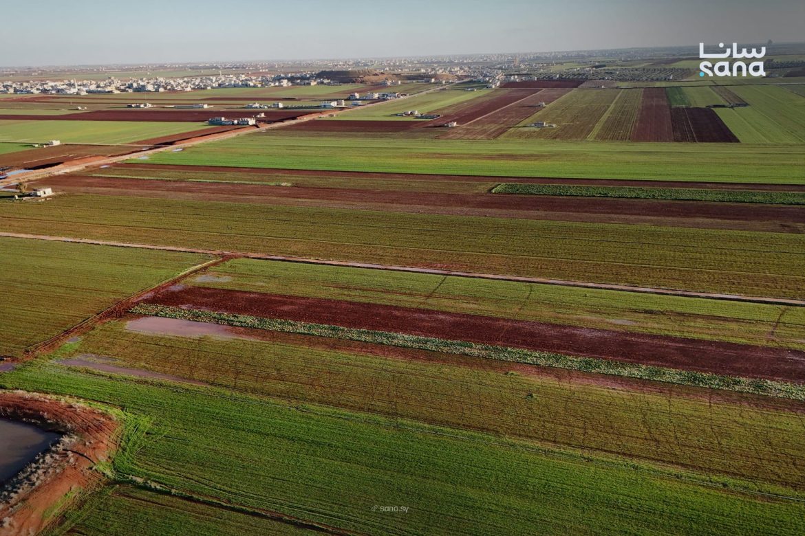 بنك إيكاردا الوراثي بحلب عم يرجع يشتغل من أول وجديد ليدعم الزراعة بسوريا