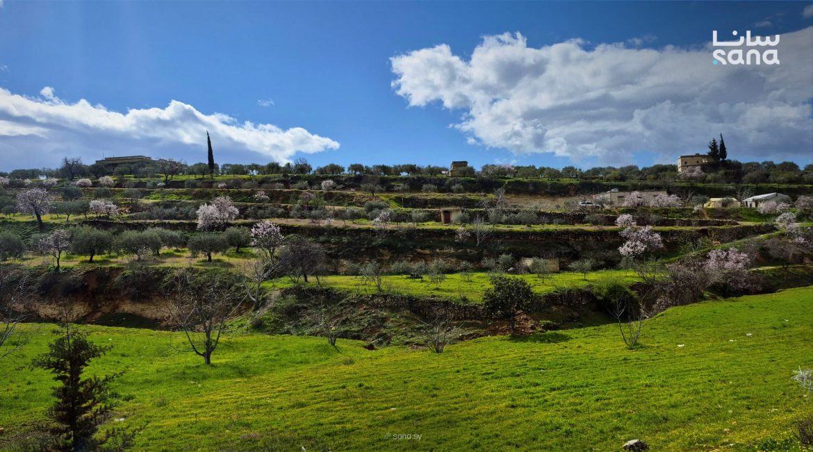 الجو اليوم مستقر بس الحرارة أقل من العادة والليل بارد