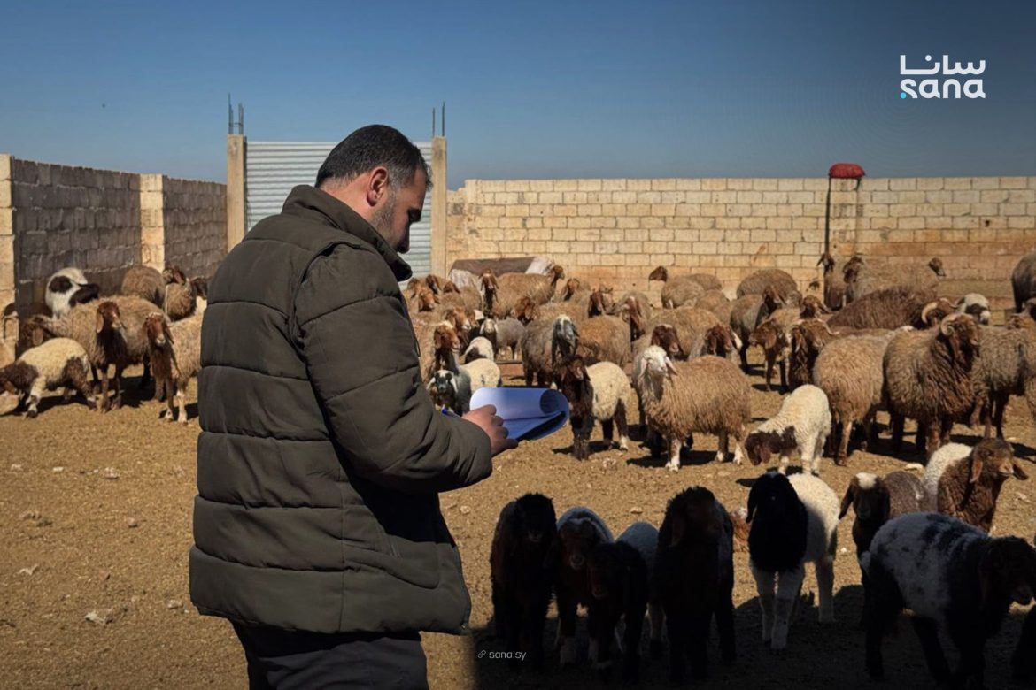 المحافظات السورية بلشت إحصاء الثروة الحيوانية رقمياً عبر المنصة الوطنية