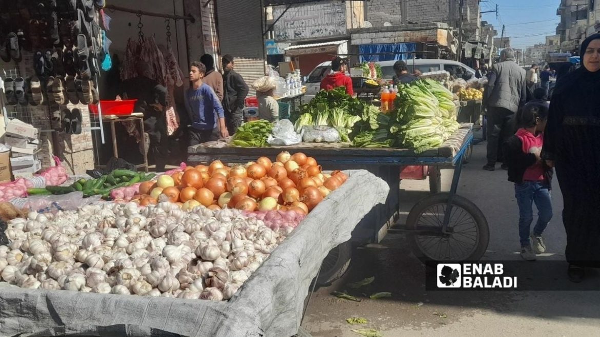 غلا الخضرة عم يصعد بأسواق الرقة والسكان عم يتضايقوا