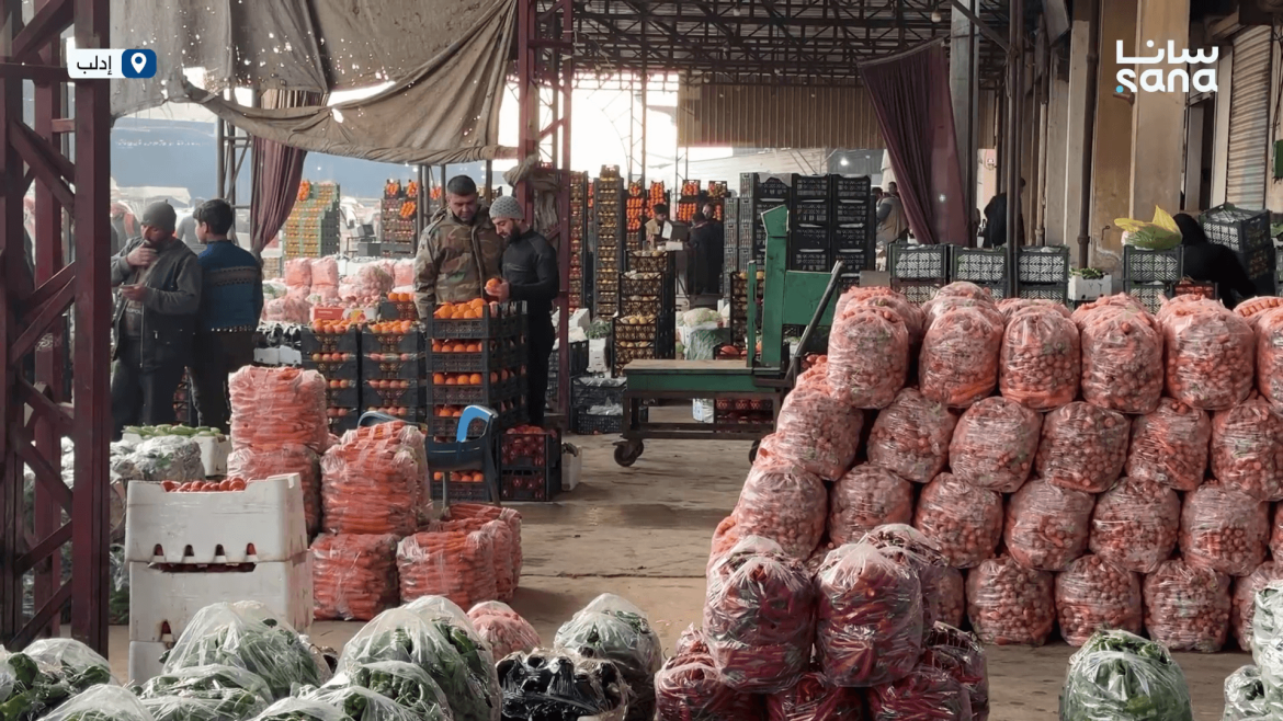 سوق الهال بمعرة مصرين: شريان حياة اقتصادي لريف إدلب