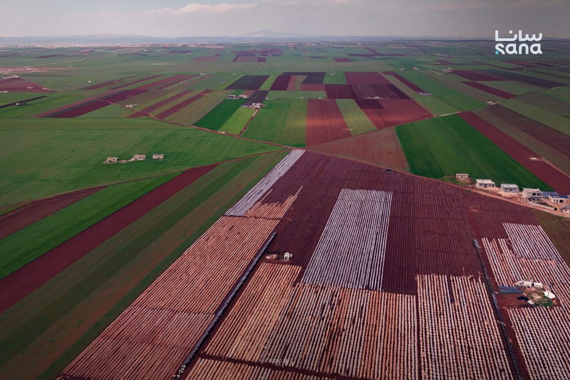 ريف حلب الجنوبي: خيرات زراعية وفيرة بس الفلاحين بدهم دعم