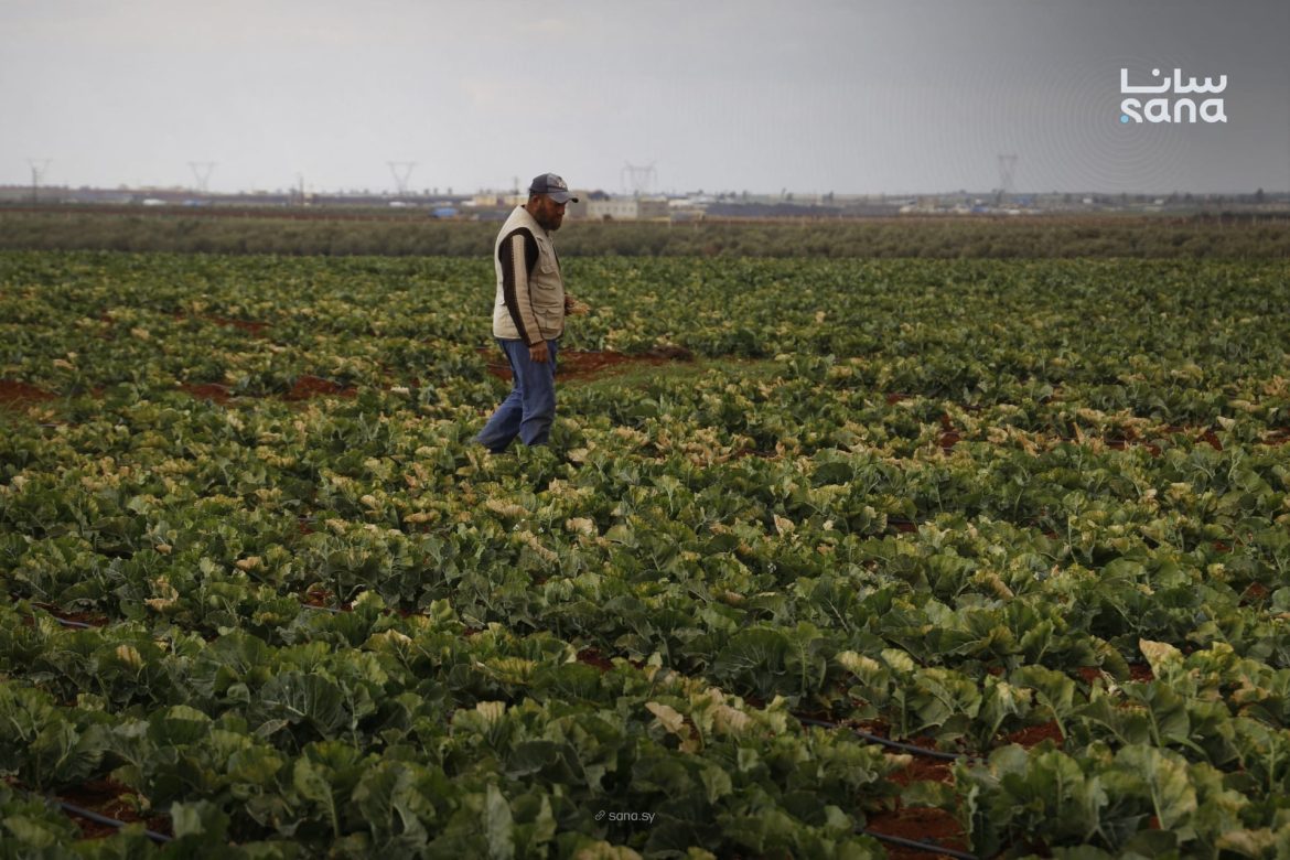 موجة صقيع قوية خربت زرع كتير بريف درعا الغربي