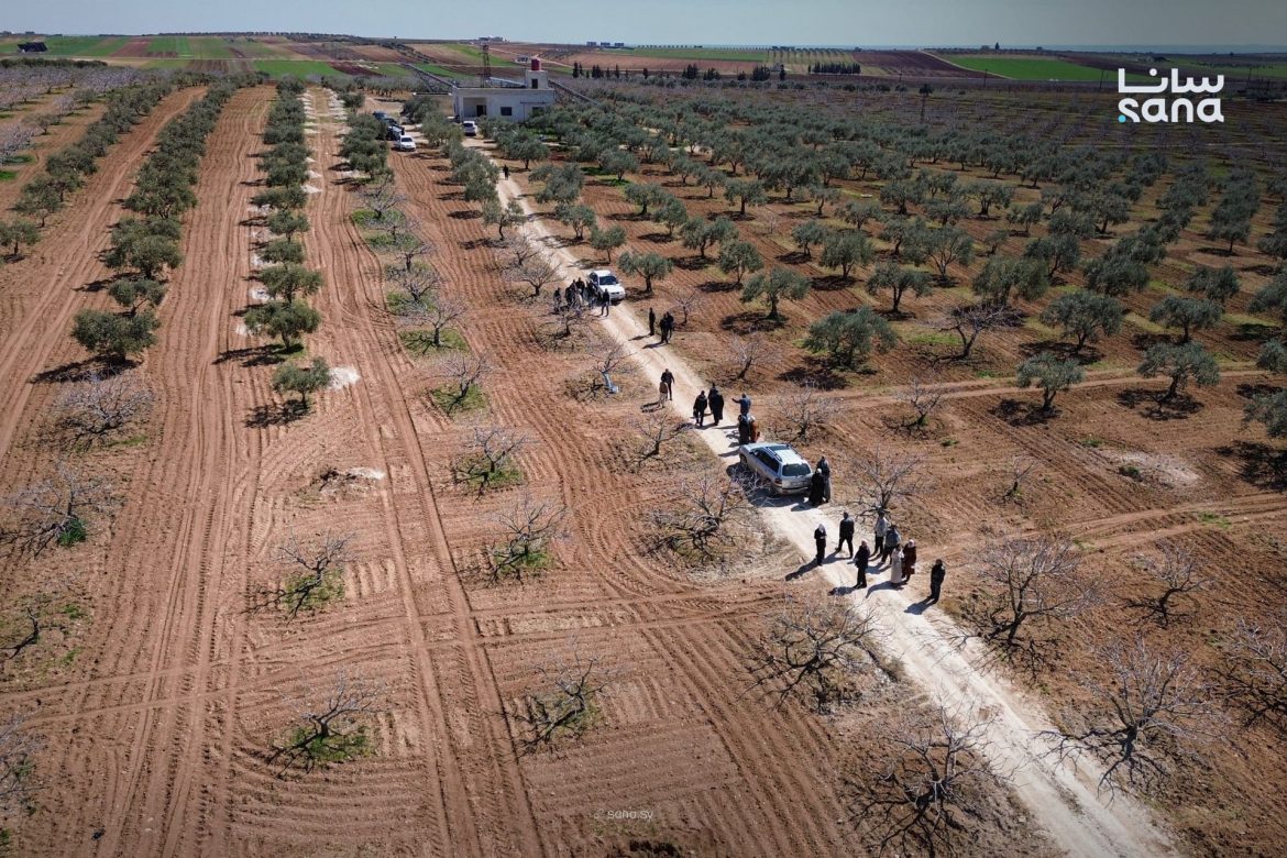 زراعة إدلب عملت يوم توضيحي للفلاحين عن العناية بشجر الفستق الحلبي