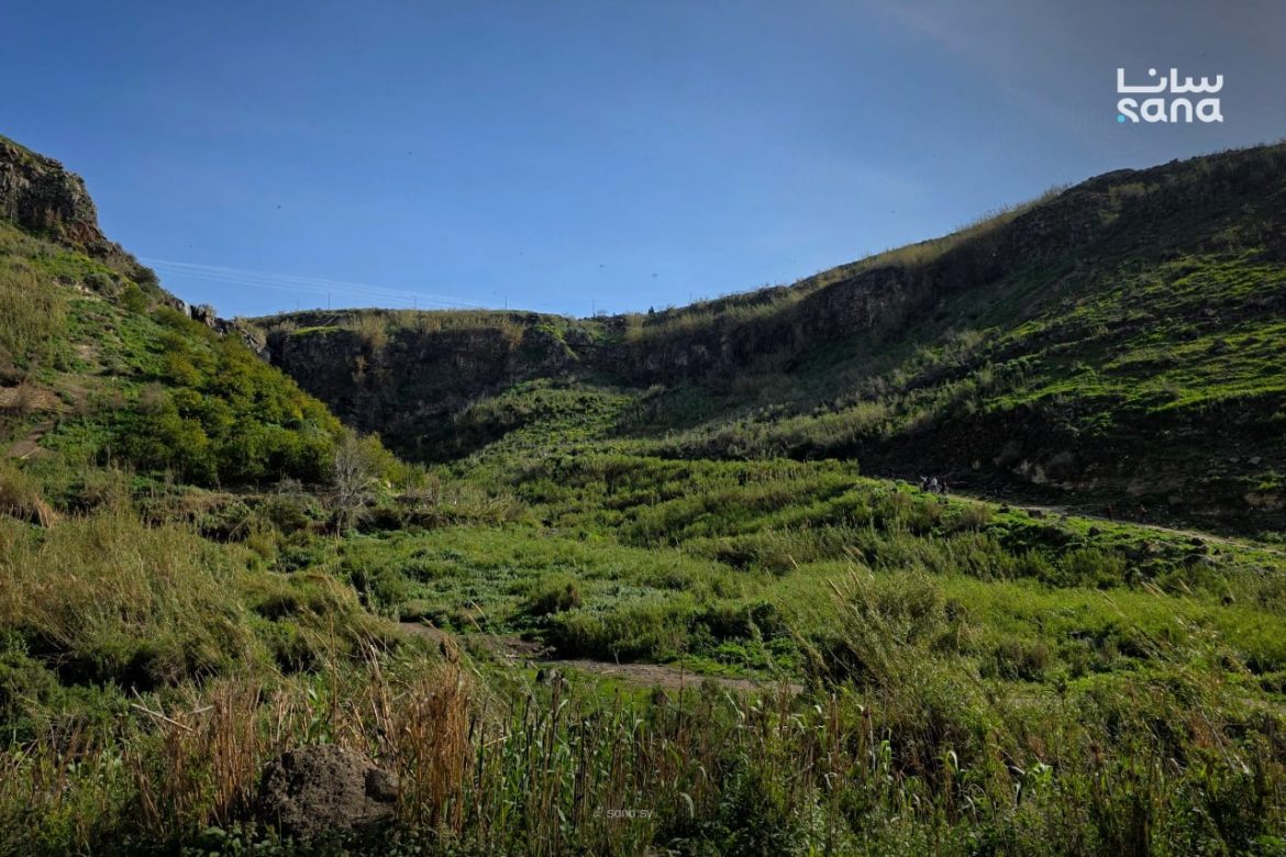 وادي الأشعري بدرعا بيتحول لقطعة جنة مع حلول الربيع