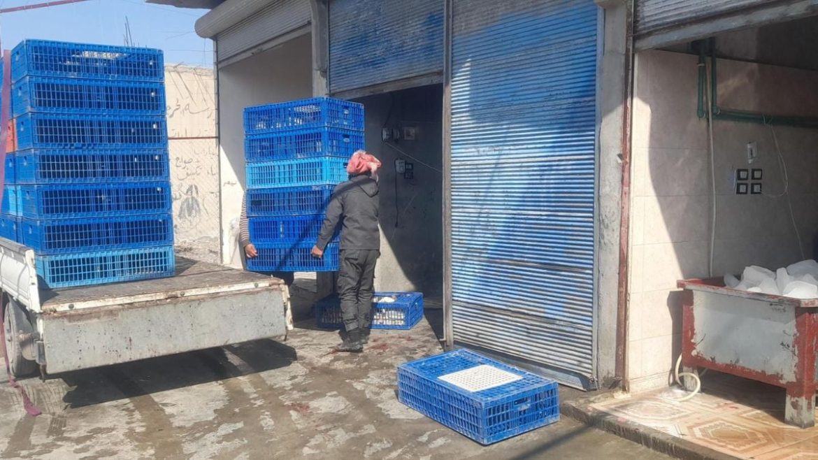 أسعار الفروج بالرقة ارتفعت 35% برمضان.. شو الأسباب؟